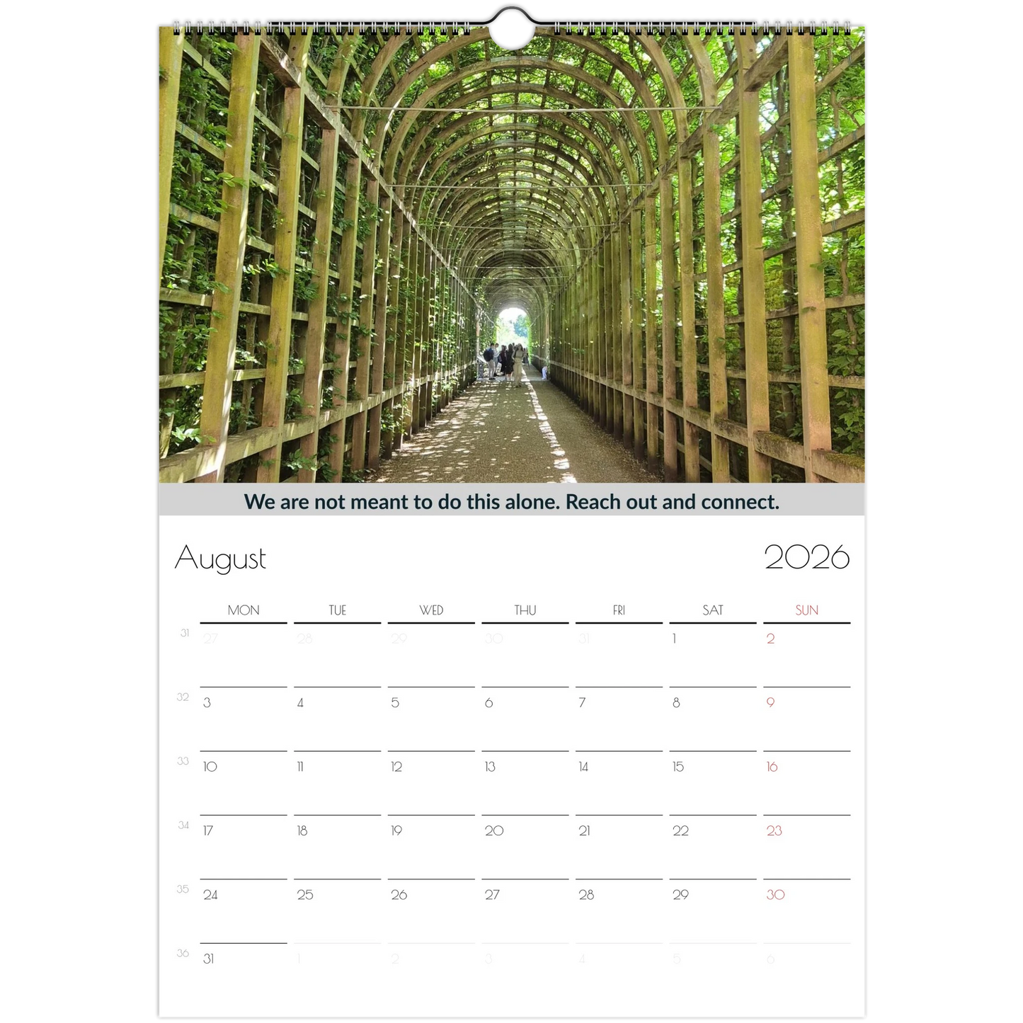 243efad5-d403-4612-9b7e-75f624562f17