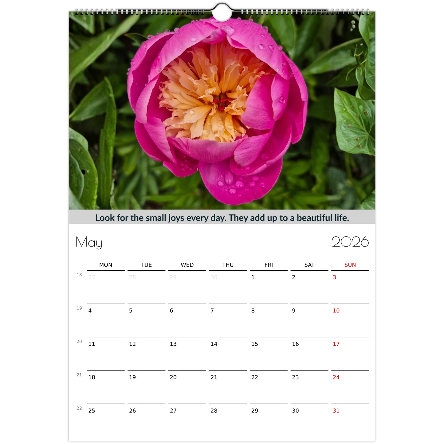 3bc12051-59fa-4e12-9f46-cde730c2af29