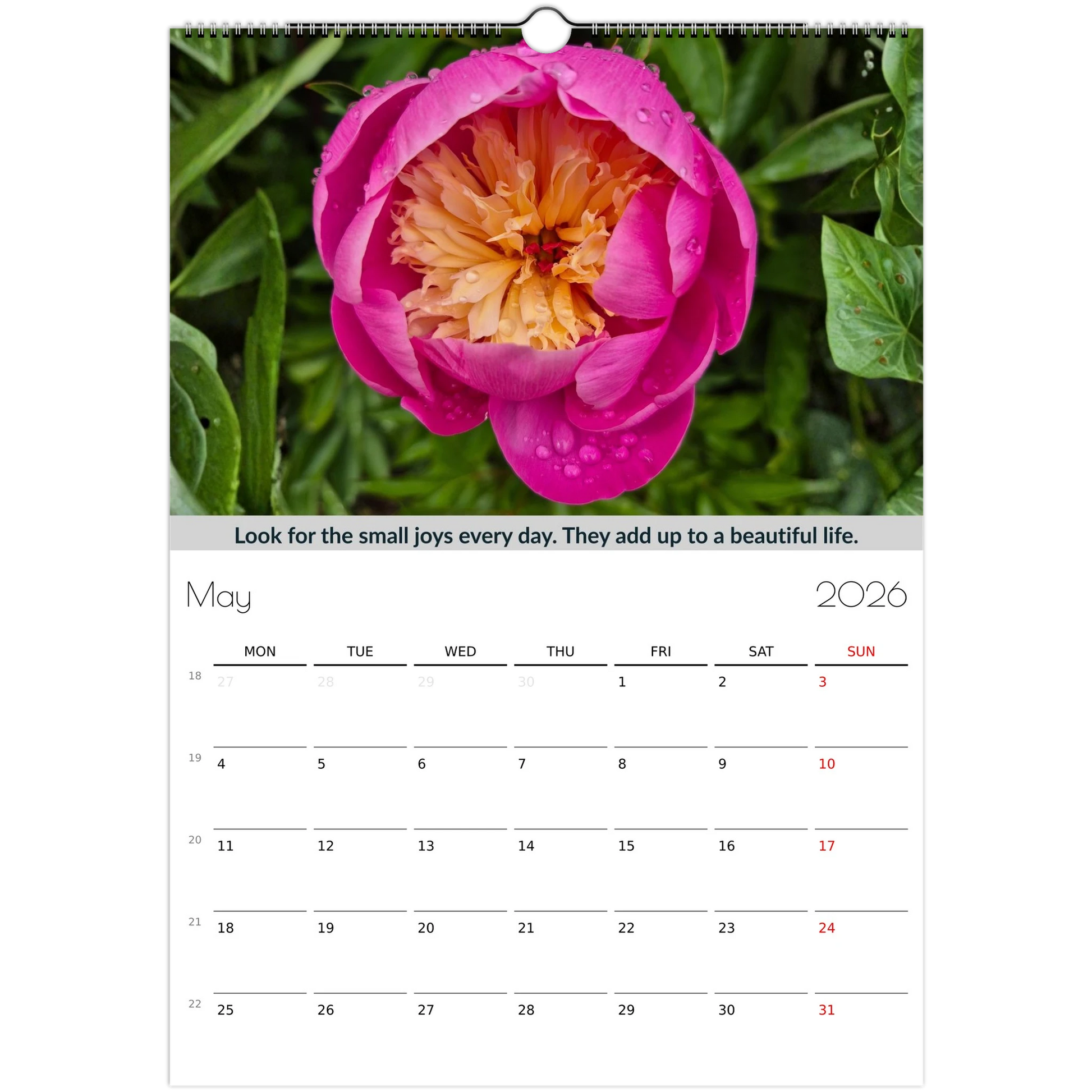 3bc12051-59fa-4e12-9f46-cde730c2af29