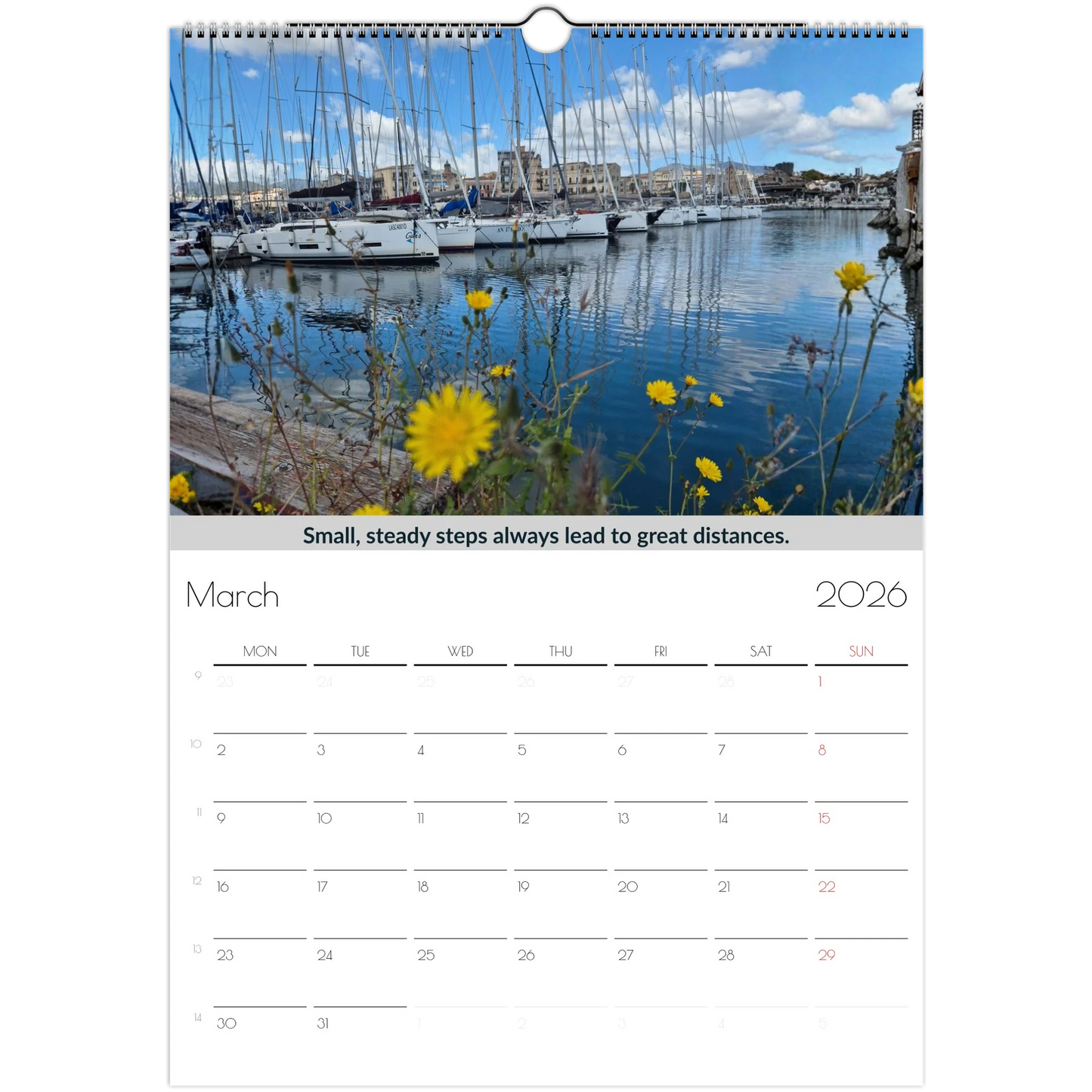 a8c526ef-b70b-4751-ab9e-203f5974025a