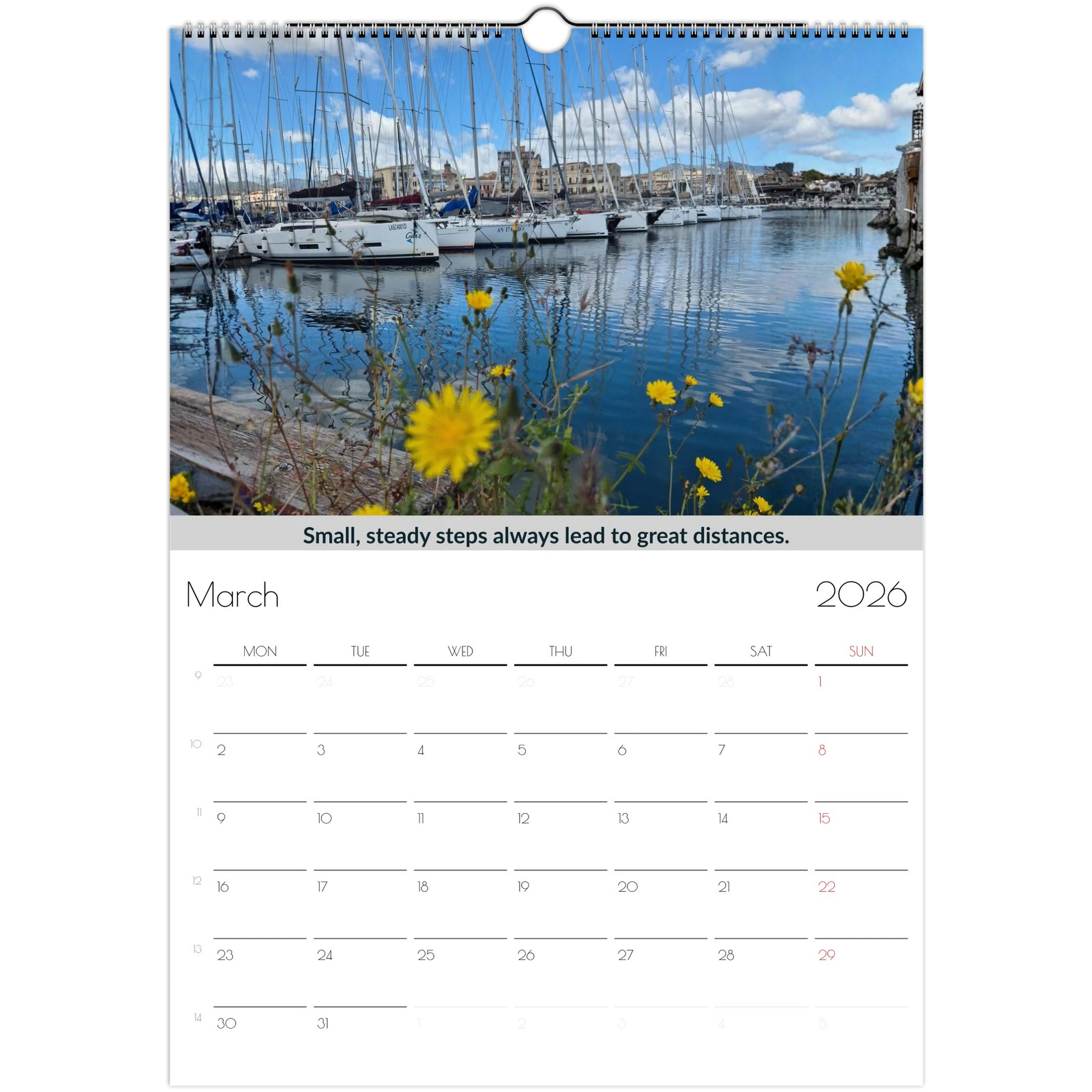 a8c526ef-b70b-4751-ab9e-203f5974025a